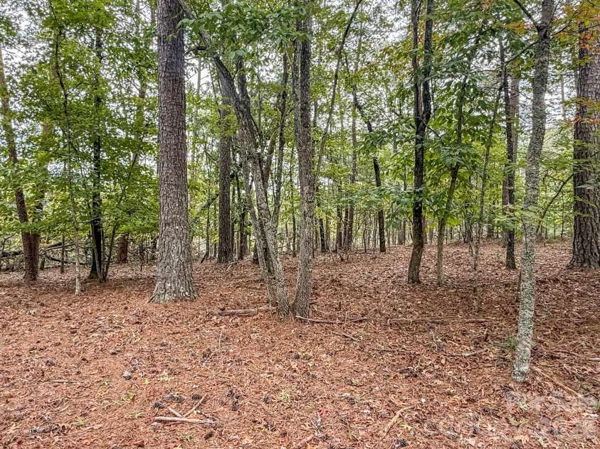 253 Nors Way, Lake Lure, NC 28746.  MLS# CAR4417067, YatesRealty ID 46065. 