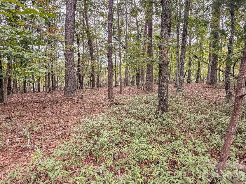 253 Nors Way, Lake Lure, NC 28746.  MLS# CAR4417067, YatesRealty ID 46065. 