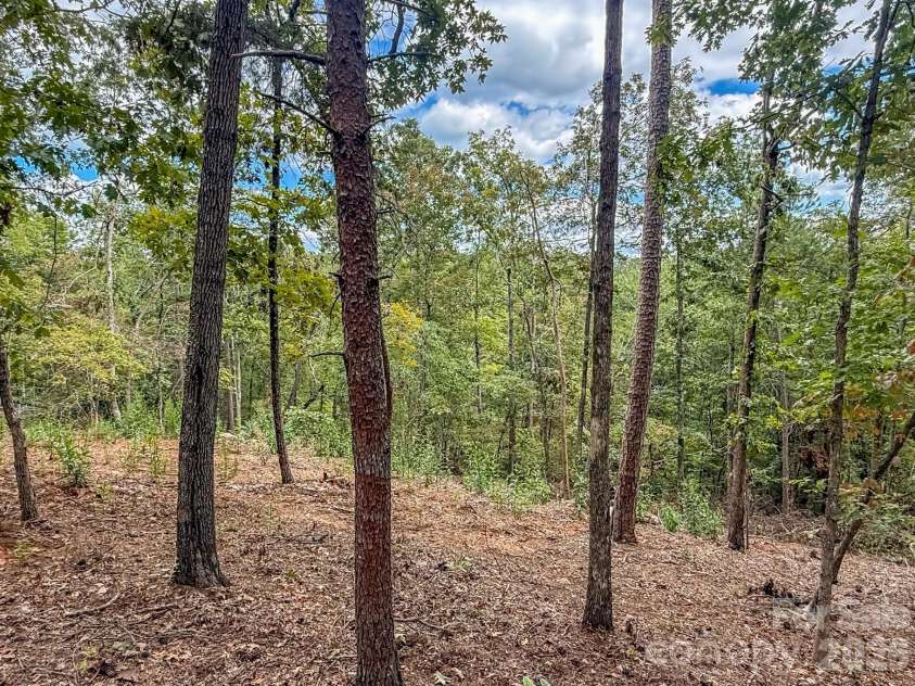 253 Nors Way, Lake Lure, NC 28746.  MLS# CAR4417067, YatesRealty ID 46065. 
