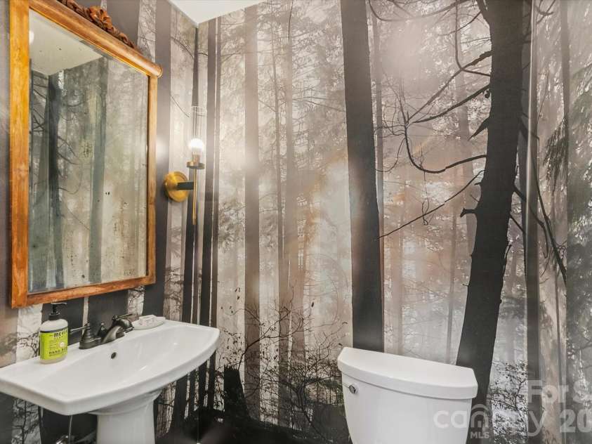 651 Glen Cannon Drive, Pisgah Forest, NC 28768.  MLS# CAR4414802, YatesRealty ID 46098. Powder Room