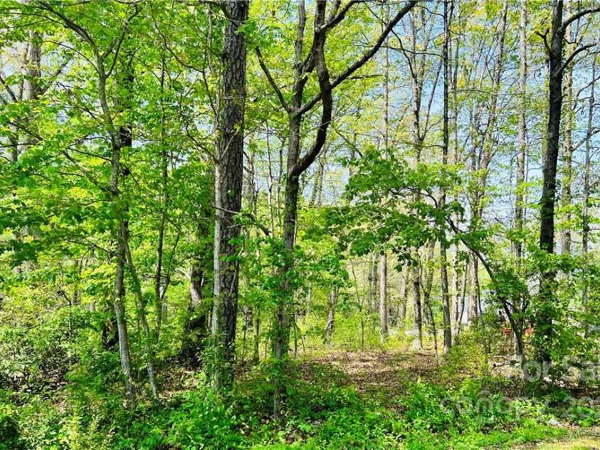 924 Brooklyn Avenue, Hendersonville, NC 28739.  MLS# CAR3856235, YatesRealty ID 461. 