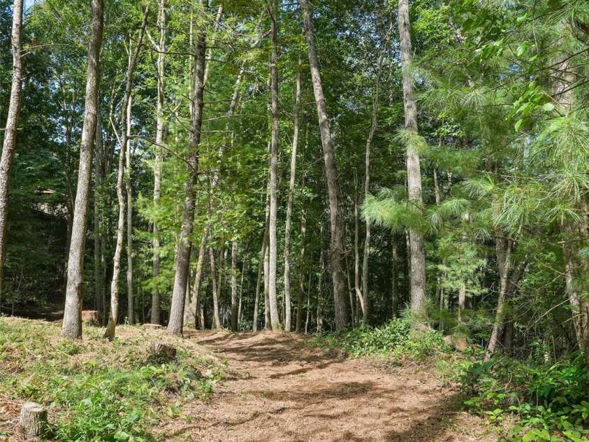 11 Tahchee Trail, Fletcher, NC 28732.  MLS# CAR4415640, YatesRealty ID 46135. Walking Path on the property!