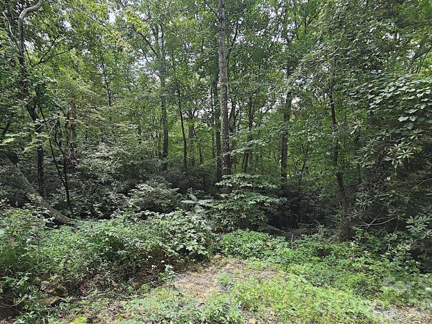 86 Pine Ridge Road, Hendersonville, NC 28792.  MLS# CAR4415877, YatesRealty ID 46149. 
