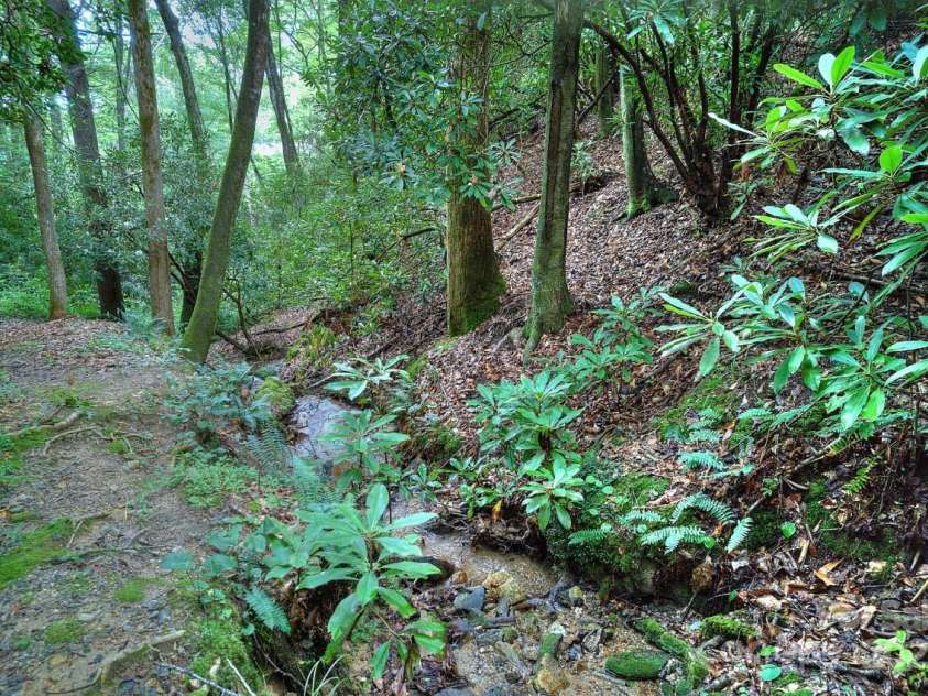 554 Pisgah Forest Drive, Pisgah Forest, NC 28768.  MLS# CAR4280084, YatesRealty ID 462. 