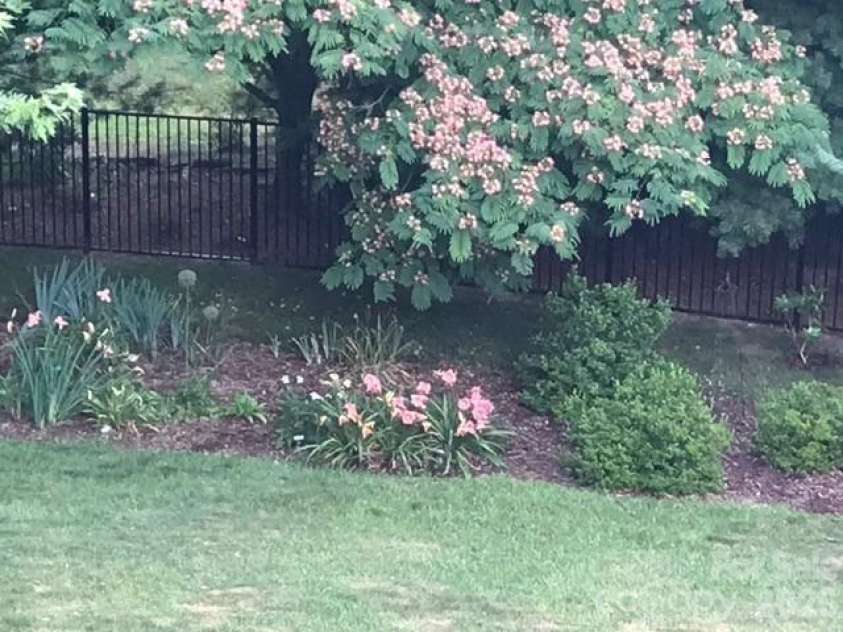 92 Lindon Cove Road, Candler, NC 28715.  MLS# CAR4415627, YatesRealty ID 46224. Flowering Trees