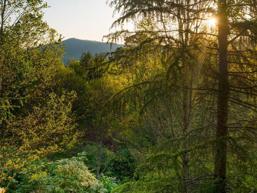 66 Deerhaven Lane, Asheville, NC 28803.  MLS# CAR4357942, YatesRealty ID 4645. 