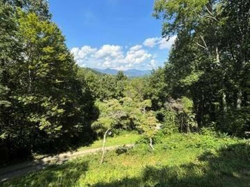 70 Calhoun Ridge Road, Waynesville, NC 28786.  MLS# CAR4417199, YatesRealty ID 46506. 