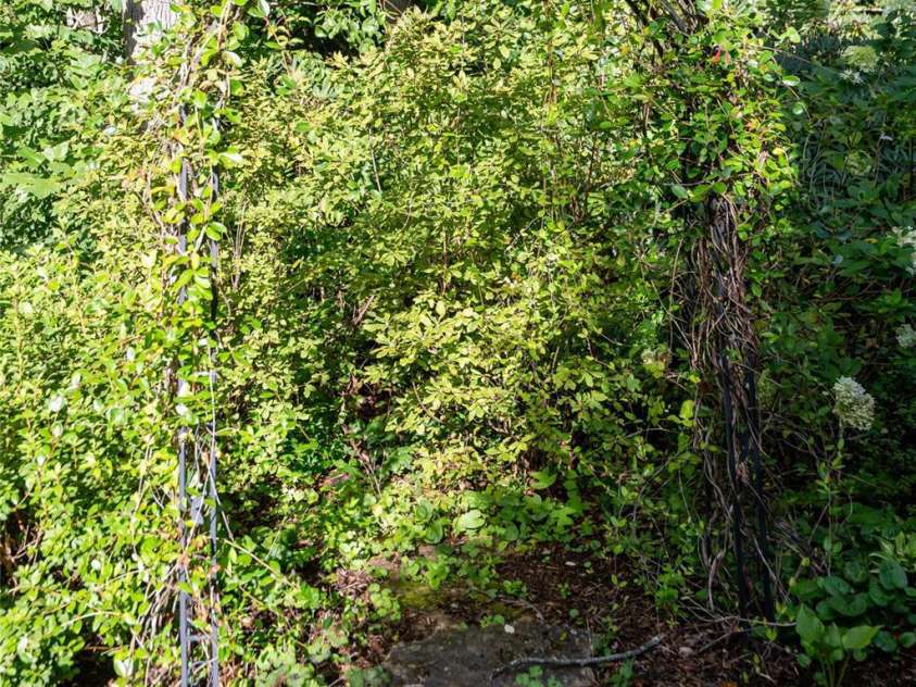 15 Stills Creek Loop, Fairview, NC 28730.  MLS# CAR4416249, YatesRealty ID 46525. 