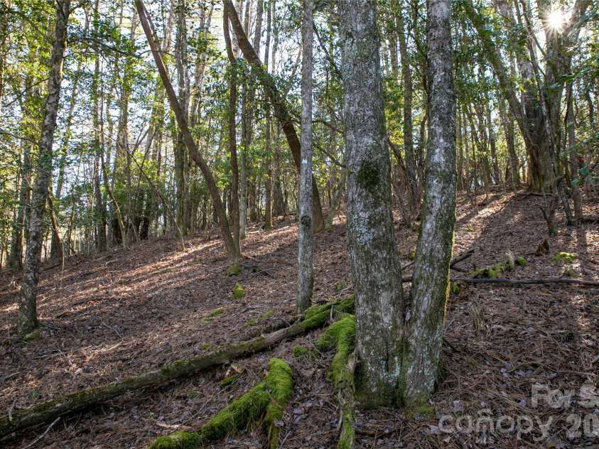 4583 Connestee Trail, Brevard, NC 28712.  MLS# CAR4417229, YatesRealty ID 46539. 