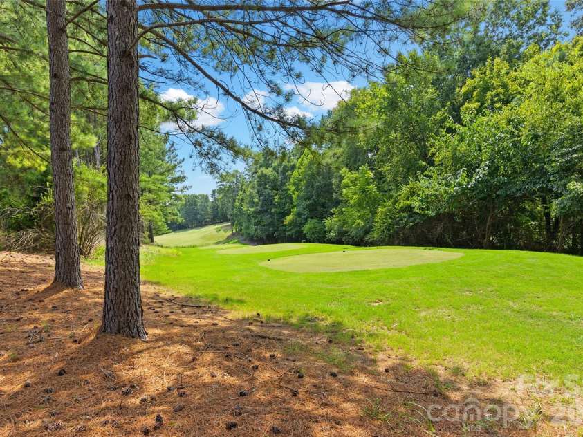 771 Cherry Hills Place, Rock Hill, SC 29730.  MLS# CAR4417475, YatesRealty ID 46566. This is your back yard...the 13th Tee