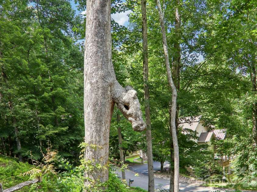 24 Caroline Lane, Pisgah Forest, NC 28768.  MLS# CAR4400205, YatesRealty ID 46567. 