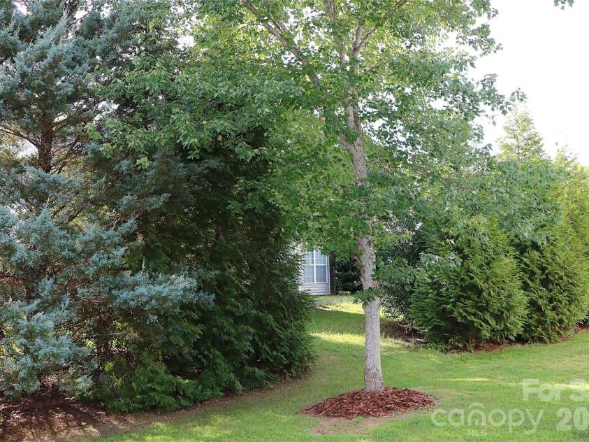 4409 Squirrel Trail Lane, Charlotte, NC 28269.  MLS# CAR4417960, YatesRealty ID 46623. PRIVATE BACKYARD