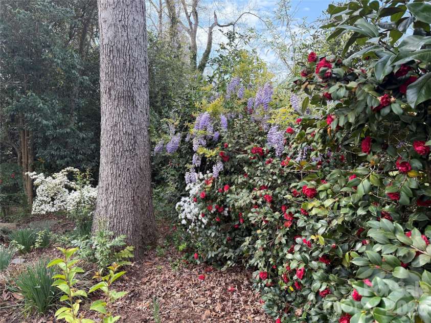1631 Maple Avenue, Albemarle, NC 28001.  MLS# CAR4417180, YatesRealty ID 46651. 