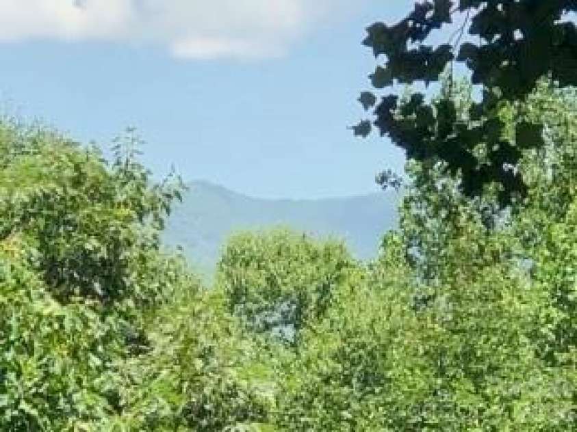 325 Hedgewood Drive, Tuckasegee, NC 28783.  MLS# CAR4399798, YatesRealty ID 46681. 