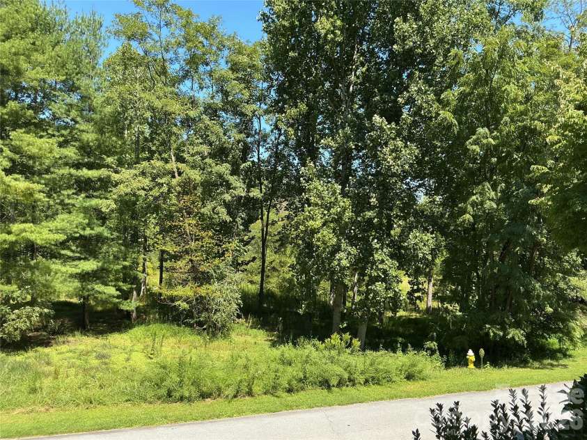 47 Lake Drive, Laurel Park, NC 28739.  MLS# CAR4417854, YatesRealty ID 46752. View over Laurel Park Lake