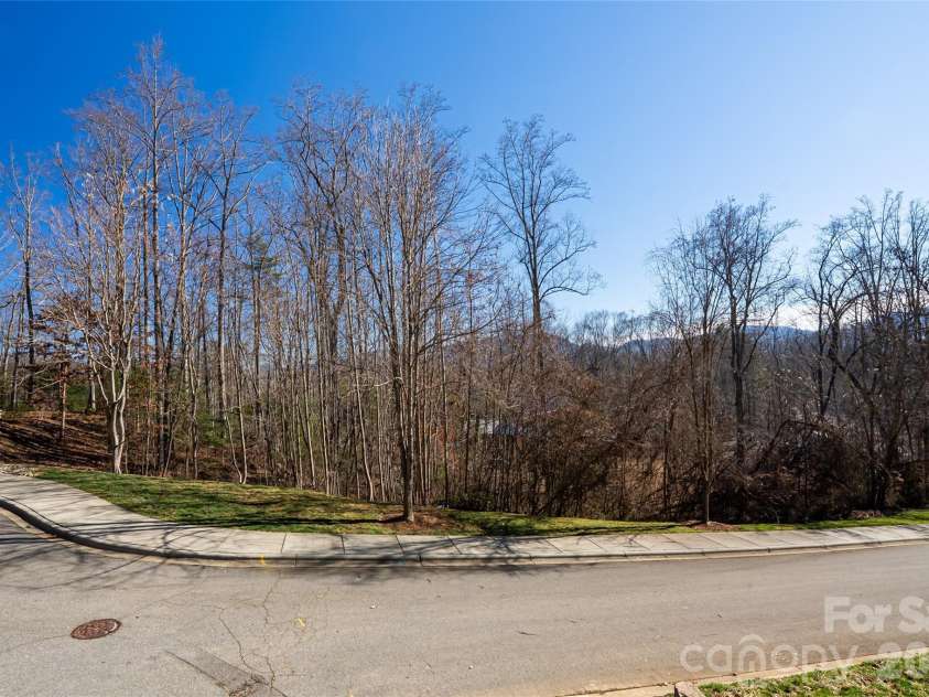 15 La Grange Drive, Asheville, NC 28805.  MLS# CAR4415540, YatesRealty ID 46891. Beautiful streetscape