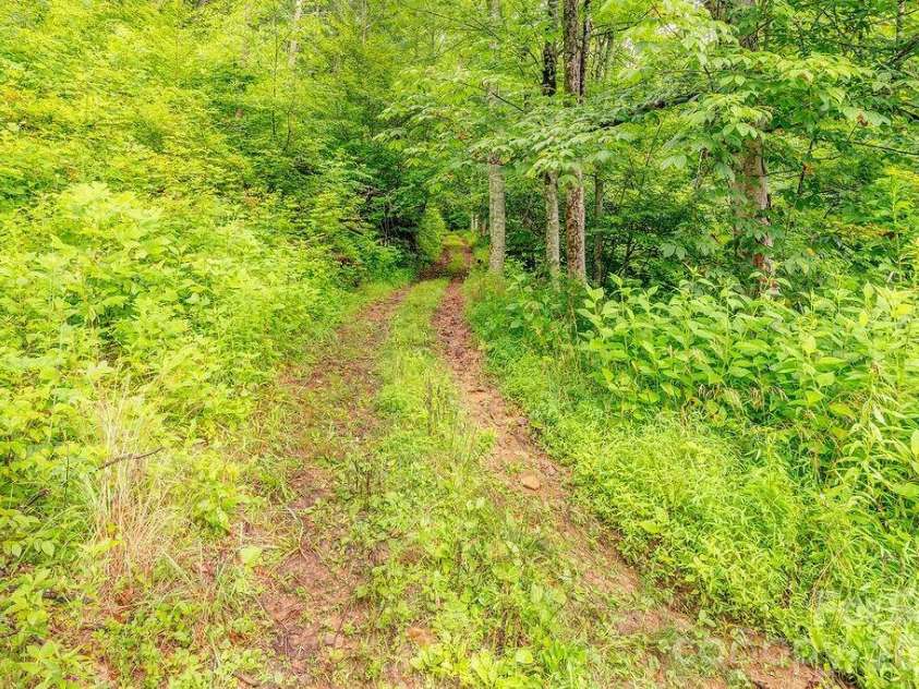 8485 Meadow Fork Road, Hot Springs, NC 28743.  MLS# CAR4401894, YatesRealty ID 46946. 