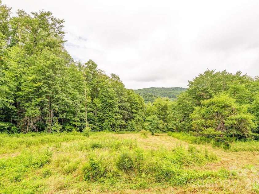 8485 Meadow Fork Road, Hot Springs, NC 28743.  MLS# CAR4401894, YatesRealty ID 46946. 