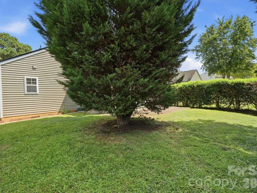 5816 Wallace Avenue, Charlotte, NC 28212.  MLS# CAR4418363, YatesRealty ID 46991. 