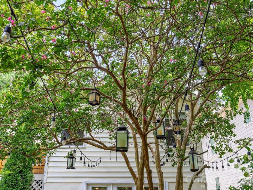 2215 Chatham Avenue, Charlotte, NC 28205.  MLS# CAR4417112, YatesRealty ID 47069. 