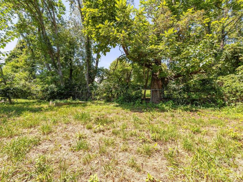 1055 Riverside Drive, Asheville, NC 28804.  MLS# CAR4397717, YatesRealty ID 47092. Backyard