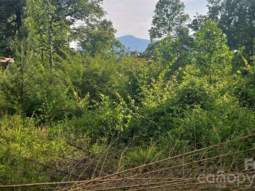 00 Misery Ridge Trail, Mill Spring, NC 28756.  MLS# CAR4385906, YatesRealty ID 47162. 