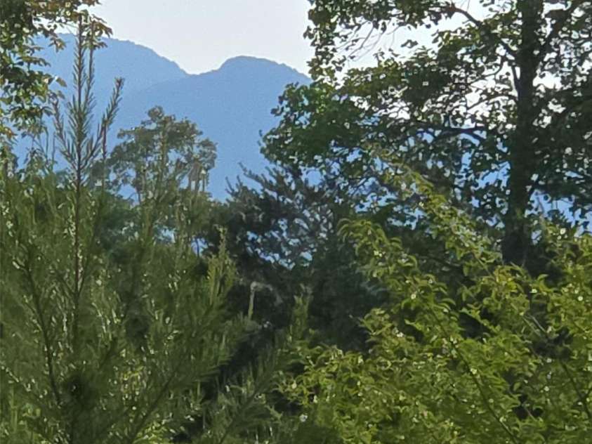 00 Misery Ridge Trail, Mill Spring, NC 28756.  MLS# CAR4385906, YatesRealty ID 47162. Possible views of White Oak with clearing on additional acreage.