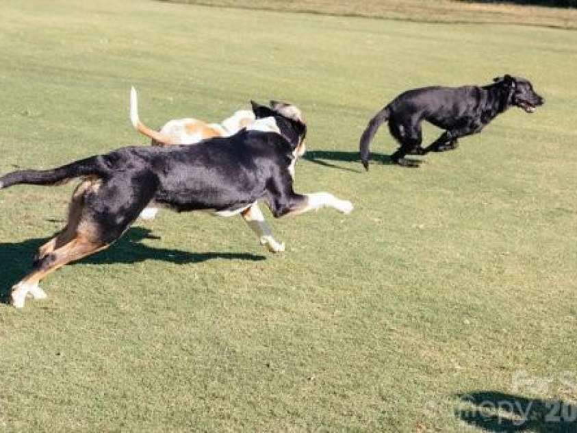 36 Fairway Ridge, Lake Wylie, SC 29710.  MLS# CAR4344451, YatesRealty ID 4719. 