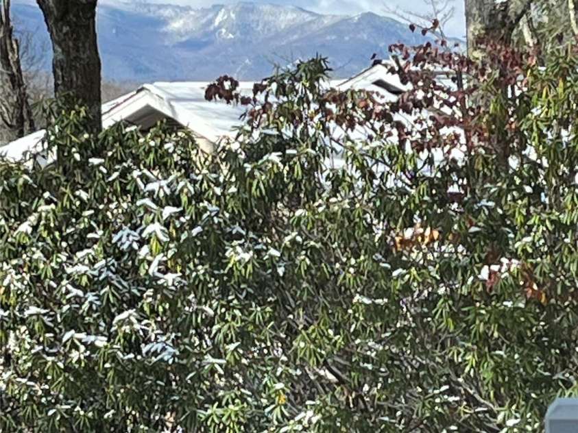 366 Spruce Road, Blowing Rock, NC 28605.  MLS# CAR4319296, YatesRealty ID 47240. Photo taken 11.11.25 from the lower bedroom window