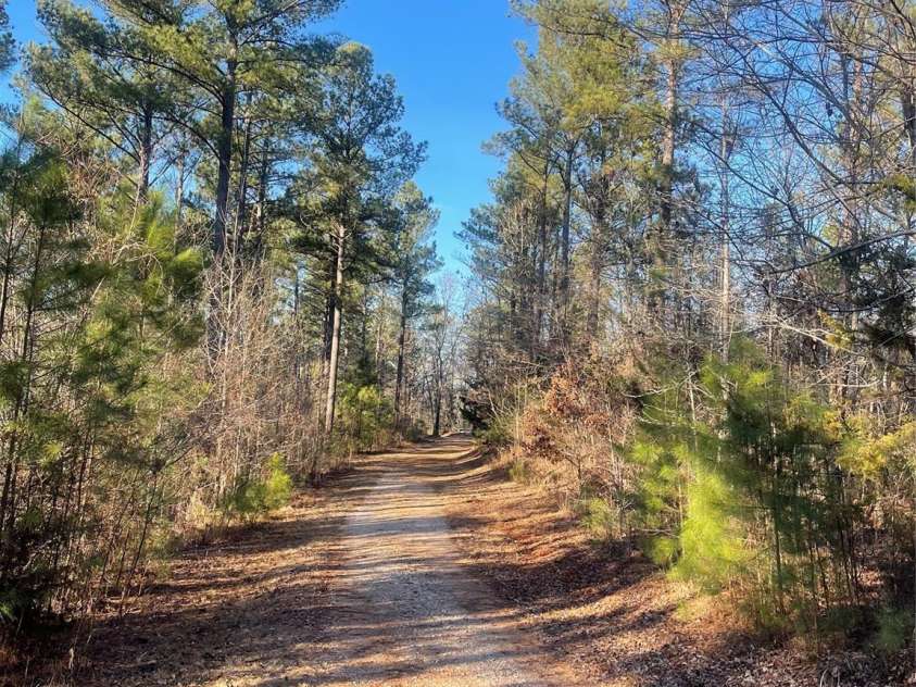1386 Old Pinckney Road, York, SC 29745.  MLS# CAR4196379, YatesRealty ID 4729. 