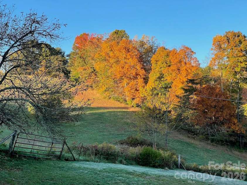 255 Dix Creek No 1 Road, Leicester, NC 28748.  MLS# CAR4418528, YatesRealty ID 47311. Fall Colors