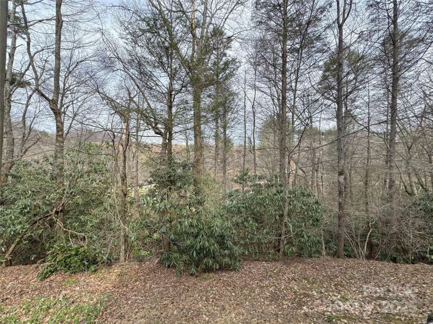 205 Firefly Lane, Boone, NC 28607.  MLS# CAR4241616, YatesRealty ID 4738. 