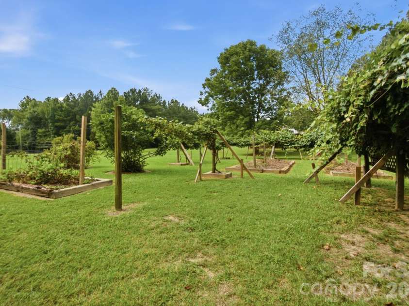 3201 Gilboa Road, Wingate, NC 28174.  MLS# CAR4415181, YatesRealty ID 47454. Muscadine vines
