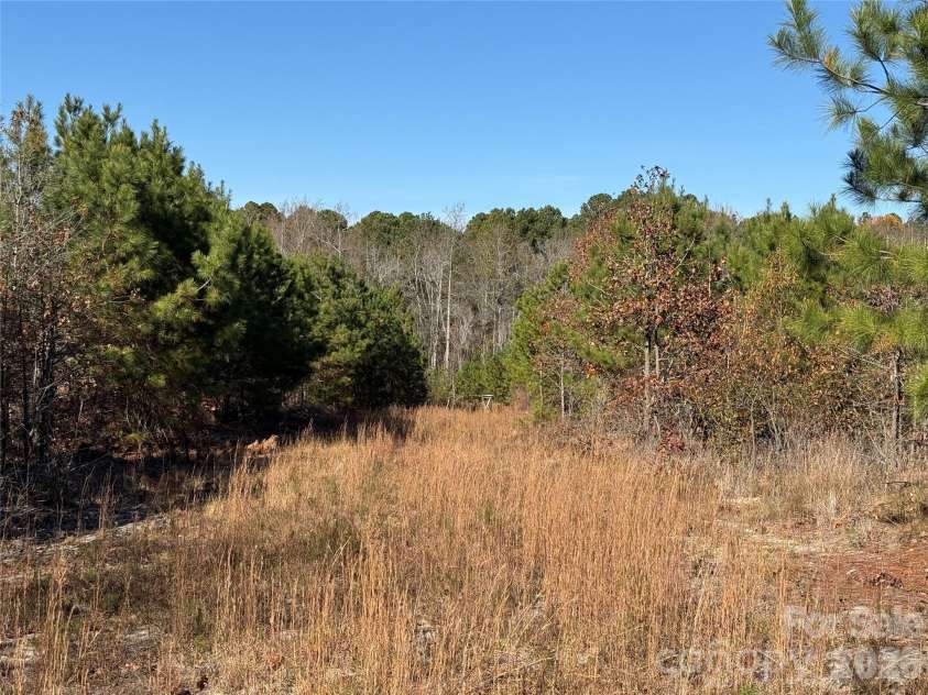 164 Haines Road, Jackson Springs, NC 27281.  MLS# CAR4325295, YatesRealty ID 4746. Hunting plot