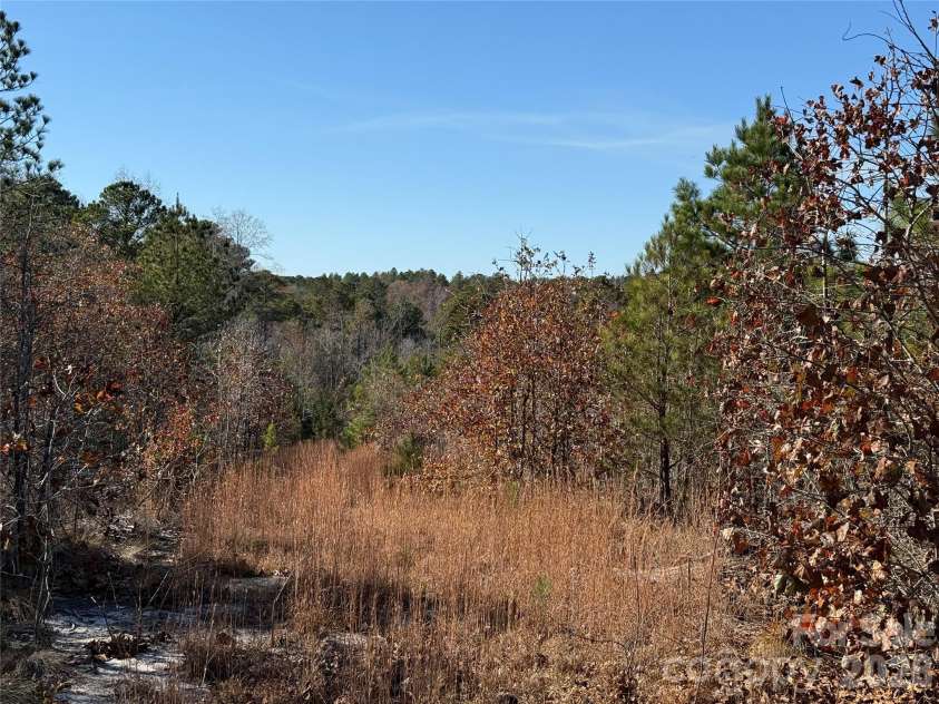 164 Haines Road, Jackson Springs, NC 27281.  MLS# CAR4325295, YatesRealty ID 4746. Hunting plot
