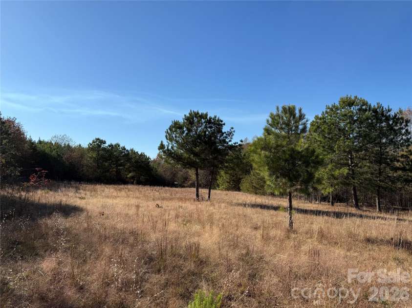 164 Haines Road, Jackson Springs, NC 27281.  MLS# CAR4325295, YatesRealty ID 4746. Hunting plot