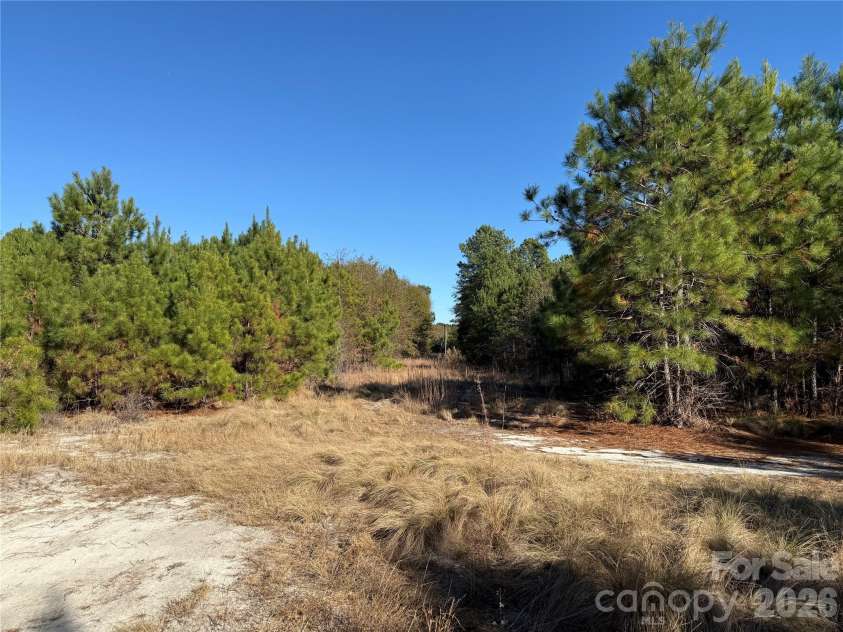 164 Haines Road, Jackson Springs, NC 27281.  MLS# CAR4325295, YatesRealty ID 4746. Open area