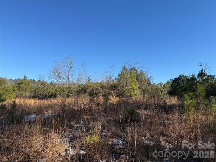 164 Haines Road, Jackson Springs, NC 27281.  MLS# CAR4325295, YatesRealty ID 4746. Open area