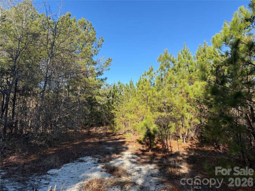 164 Haines Road, Jackson Springs, NC 27281.  MLS# CAR4325295, YatesRealty ID 4746. Open area