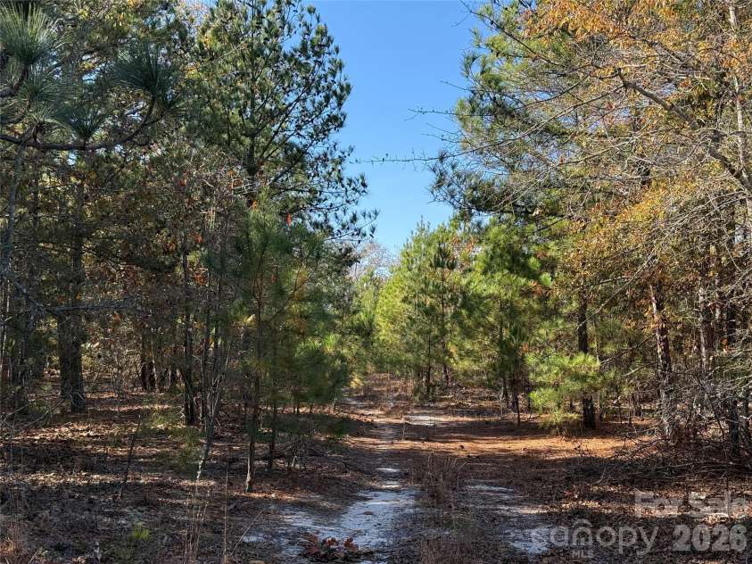164 Haines Road, Jackson Springs, NC 27281.  MLS# CAR4325295, YatesRealty ID 4746. Perimeter trail