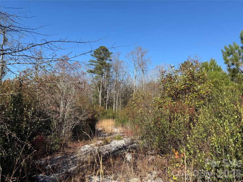 164 Haines Road, Jackson Springs, NC 27281.  MLS# CAR4325295, YatesRealty ID 4746. Perimeter trail