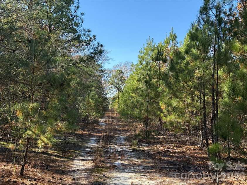 164 Haines Road, Jackson Springs, NC 27281.  MLS# CAR4325295, YatesRealty ID 4746. Perimeter trail