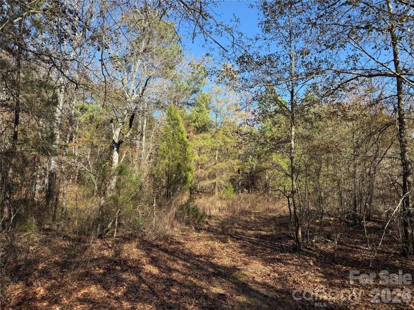 164 Haines Road, Jackson Springs, NC 27281.  MLS# CAR4325295, YatesRealty ID 4746. Perimeter trail