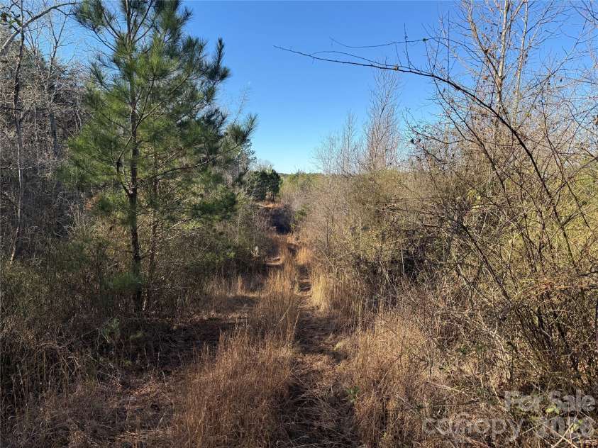 164 Haines Road, Jackson Springs, NC 27281.  MLS# CAR4325295, YatesRealty ID 4746. Perimeter trail