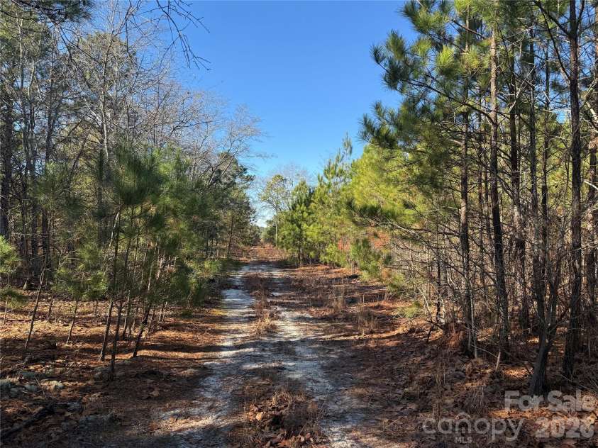 164 Haines Road, Jackson Springs, NC 27281.  MLS# CAR4325295, YatesRealty ID 4746. Perimeter trail