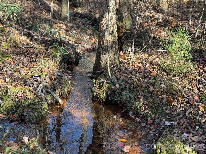164 Haines Road, Jackson Springs, NC 27281.  MLS# CAR4325295, YatesRealty ID 4746. Stream bordering property