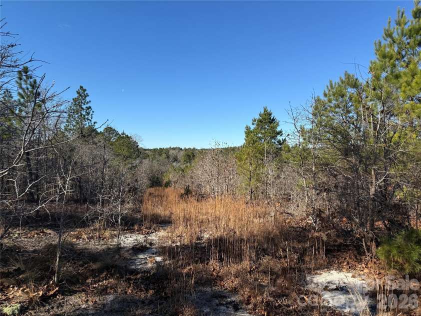 164 Haines Road, Jackson Springs, NC 27281.  MLS# CAR4325295, YatesRealty ID 4746. Trail view