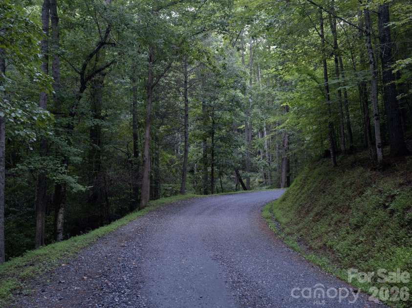 553 River Bend Drive, Mars Hill, NC 28754.  MLS# CAR4418089, YatesRealty ID 47487. Forested private driveway.
