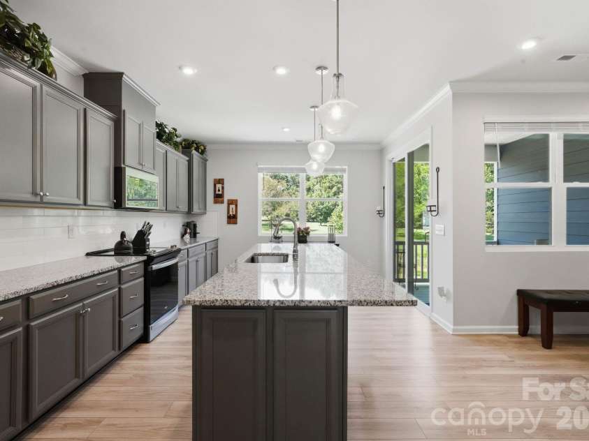 16705 Summers Walk Boulevard, Davidson, NC 28036.  MLS# CAR4411170, YatesRealty ID 47505. 