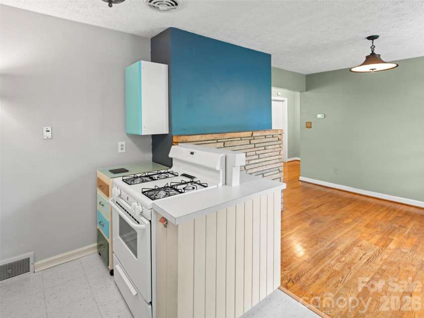 209 White Pine Drive, Asheville, NC 28805.  MLS# CAR4418056, YatesRealty ID 47514. 